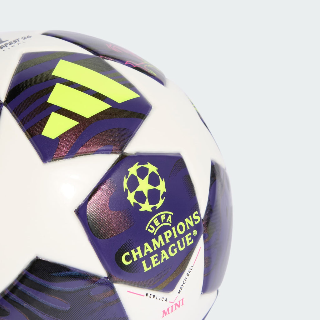 UEFA CHAMPIONS LEAGUE FINAL PRO BALL.